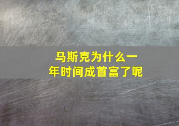 马斯克为什么一年时间成首富了呢