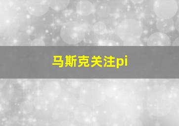 马斯克关注pi