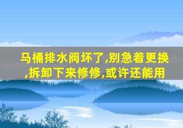 马桶排水阀坏了,别急着更换,拆卸下来修修,或许还能用