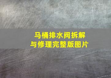 马桶排水阀拆解与修理完整版图片