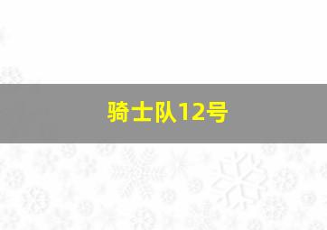 骑士队12号