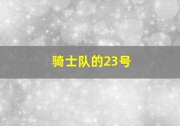 骑士队的23号