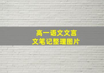 高一语文文言文笔记整理图片