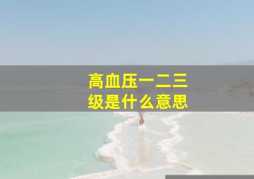 高血压一二三级是什么意思