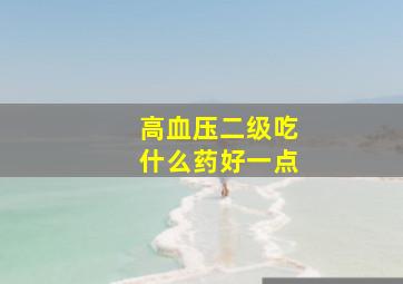 高血压二级吃什么药好一点