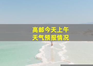 高邮今天上午天气预报情况