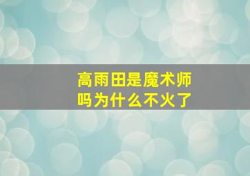 高雨田是魔术师吗为什么不火了