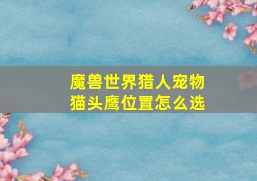 魔兽世界猎人宠物猫头鹰位置怎么选