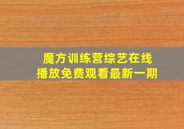 魔方训练营综艺在线播放免费观看最新一期