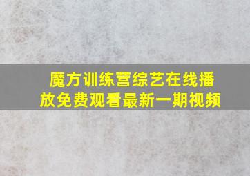 魔方训练营综艺在线播放免费观看最新一期视频