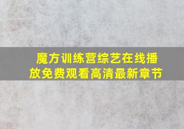 魔方训练营综艺在线播放免费观看高清最新章节