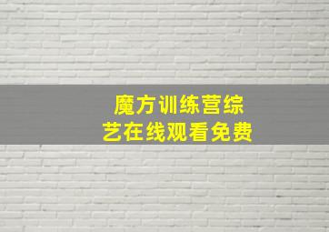 魔方训练营综艺在线观看免费