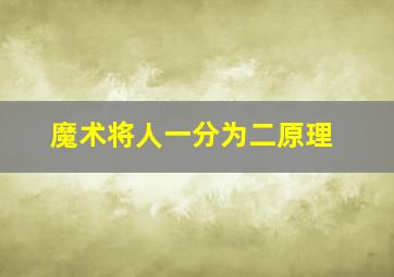 魔术将人一分为二原理