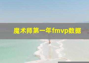 魔术师第一年fmvp数据