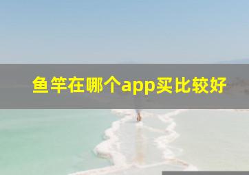 鱼竿在哪个app买比较好