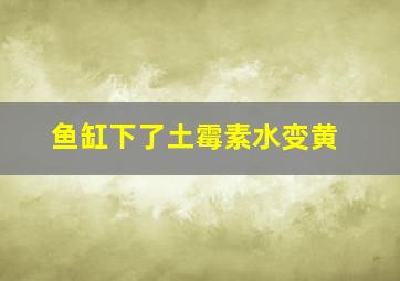 鱼缸下了土霉素水变黄