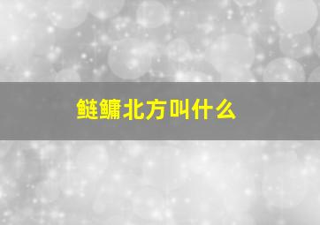 鲢鳙北方叫什么