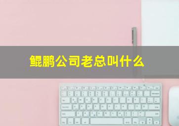 鲲鹏公司老总叫什么