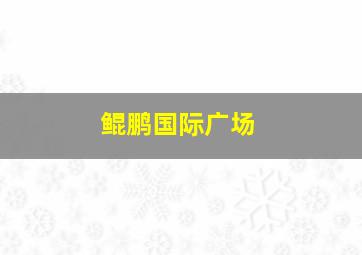 鲲鹏国际广场