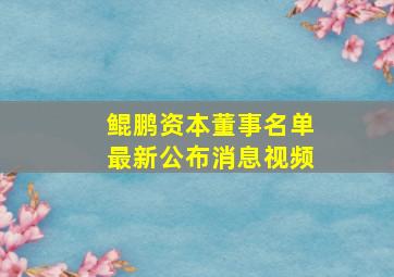 鲲鹏资本董事名单最新公布消息视频