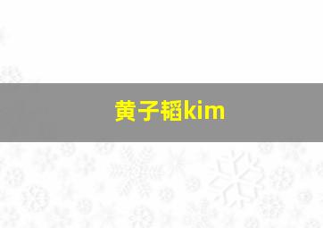 黄子韬kim