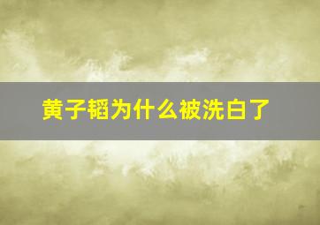 黄子韬为什么被洗白了