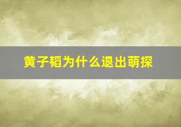 黄子韬为什么退出萌探