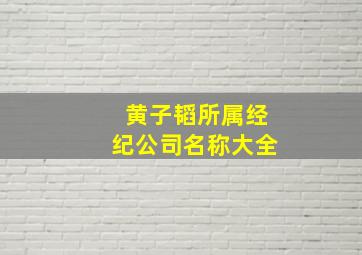 黄子韬所属经纪公司名称大全