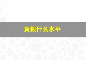 黄毅什么水平