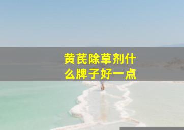 黄芪除草剂什么牌子好一点