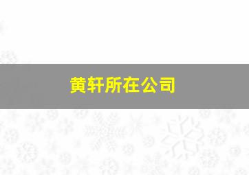 黄轩所在公司