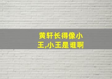 黄轩长得像小王,小王是谁啊