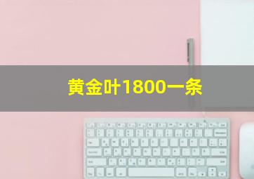 黄金叶1800一条