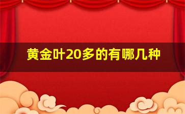 黄金叶20多的有哪几种