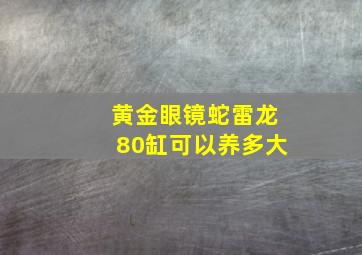 黄金眼镜蛇雷龙80缸可以养多大