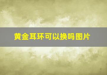 黄金耳环可以换吗图片