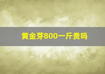 黄金芽800一斤贵吗