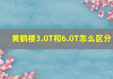 黄鹤楼3.0T和6.0T怎么区分