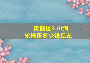 黄鹤楼3.0t涡轮增压多少钱现在