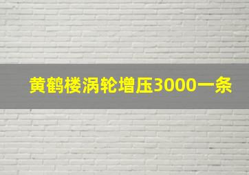 黄鹤楼涡轮增压3000一条