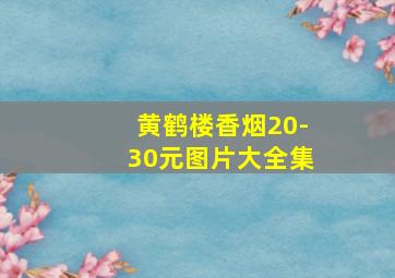 黄鹤楼香烟20-30元图片大全集