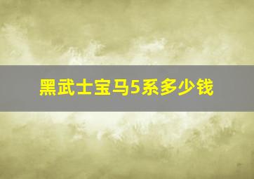 黑武士宝马5系多少钱