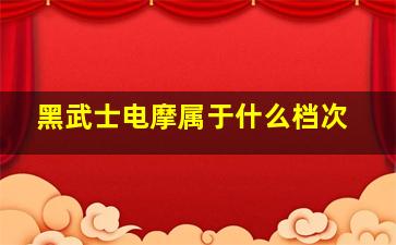 黑武士电摩属于什么档次