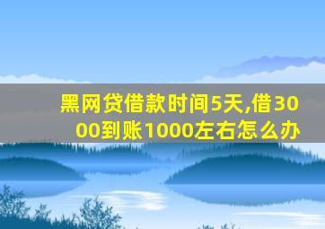 黑网贷借款时间5天,借3000到账1000左右怎么办