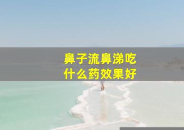 鼻子流鼻涕吃什么药效果好