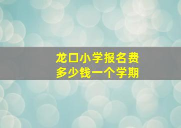 龙口小学报名费多少钱一个学期