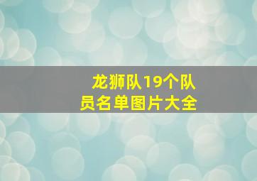 龙狮队19个队员名单图片大全