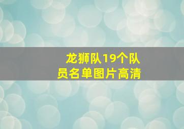 龙狮队19个队员名单图片高清