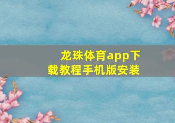 龙珠体育app下载教程手机版安装